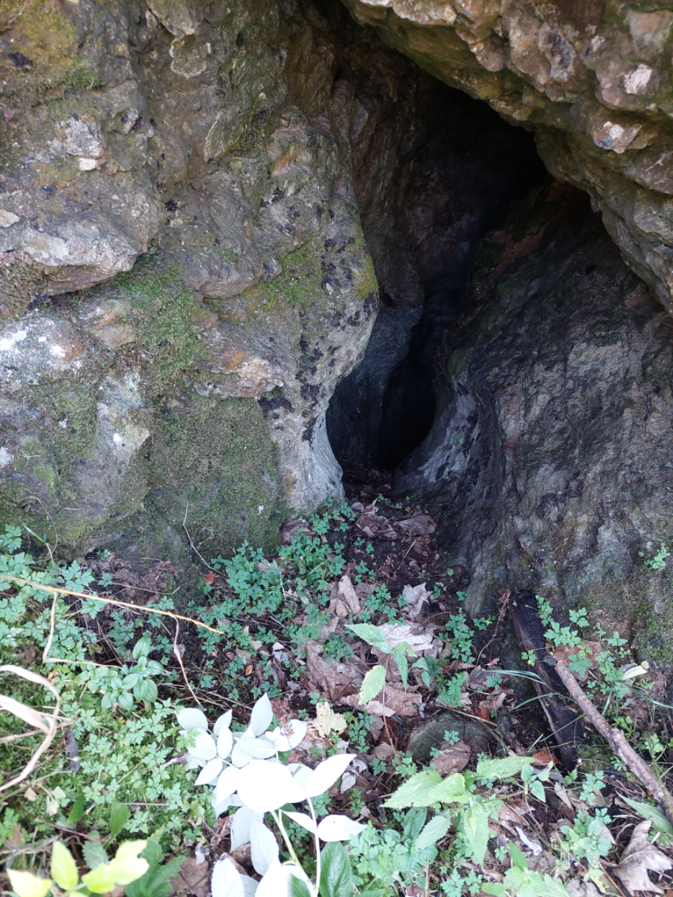 Peștera Întunecoasă din Poiana Roșchii - Avenul Stâna lui Ivaşcu - Foto: Ghita iancu